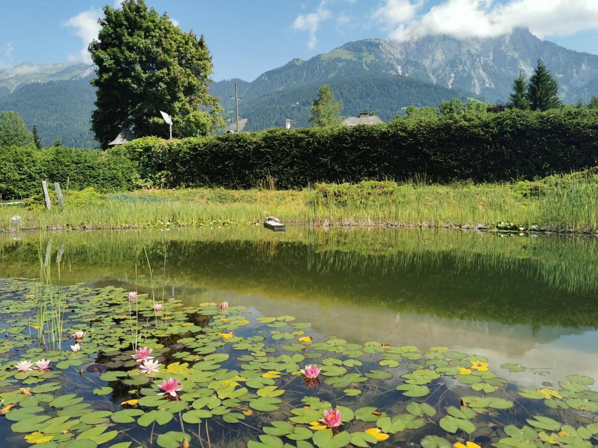 Landhotel Kastanienhof Gundersheim Dış mekan fotoğraf